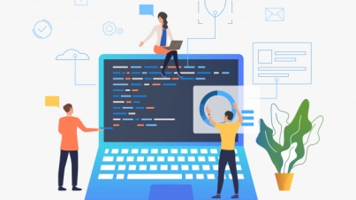 Web development