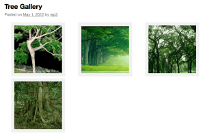 Lightbox-Effect-7