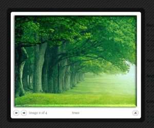 Lightbox-Effect-8