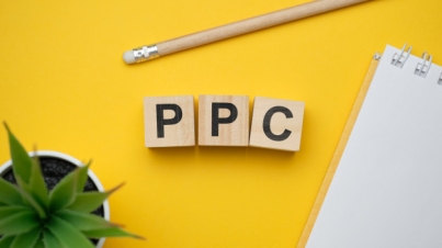PPC agency india