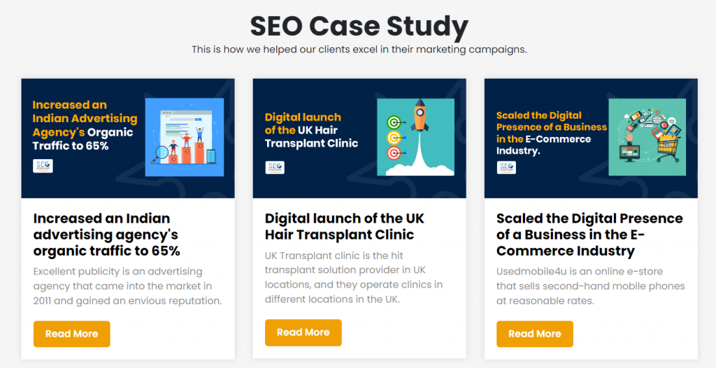 seo case study