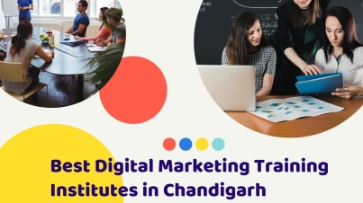 Best Digital Marketing Training Institutes in Chandigarh