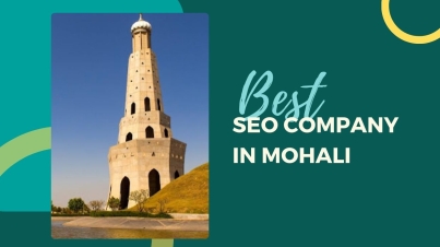 Best SEO Company in Mohali