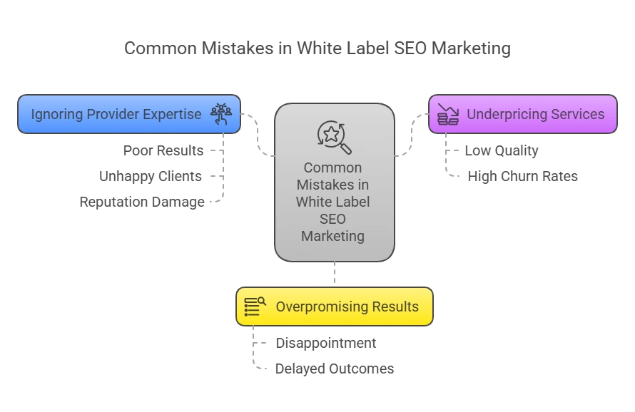 Common Mistakes to Avoid in White Label SEO Marketing - visual selection