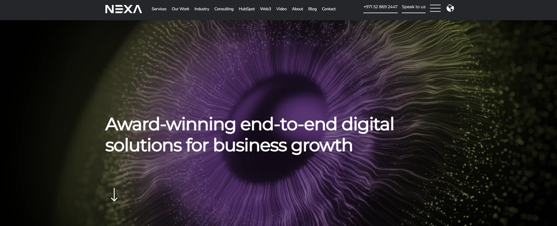 nexa-digital-solution