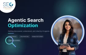 What Is Agentic Search Optimization