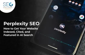 Perplexity SEO