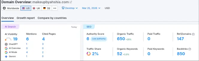 AI Visibility Overview