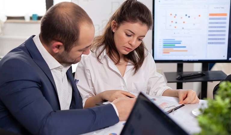 Consultation & Audit