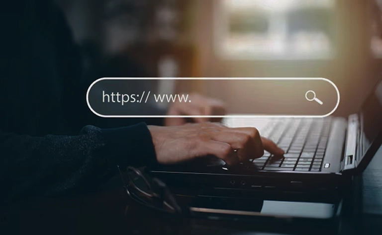 Domain Name Transfer
