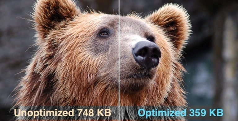 Optimization Techniques