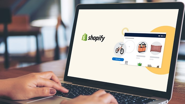 SEO Discovery for Shopify Virtual Assistant