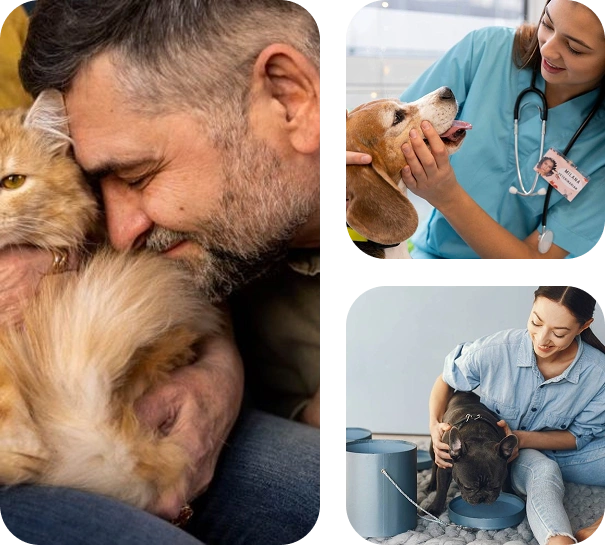  SEO Services for Veterinarians