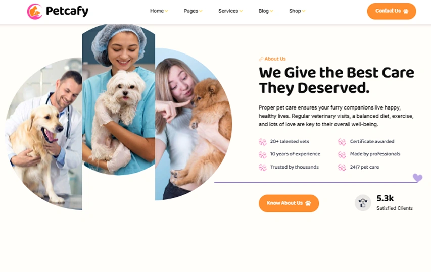 SEO Services for Veterinarians