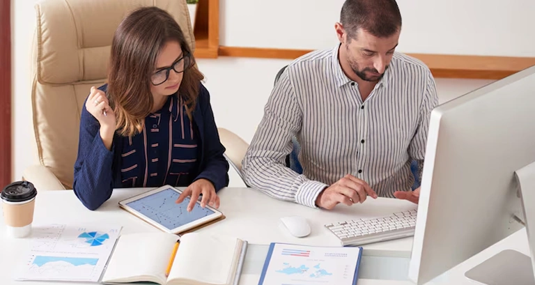 Site Audit and Consultation